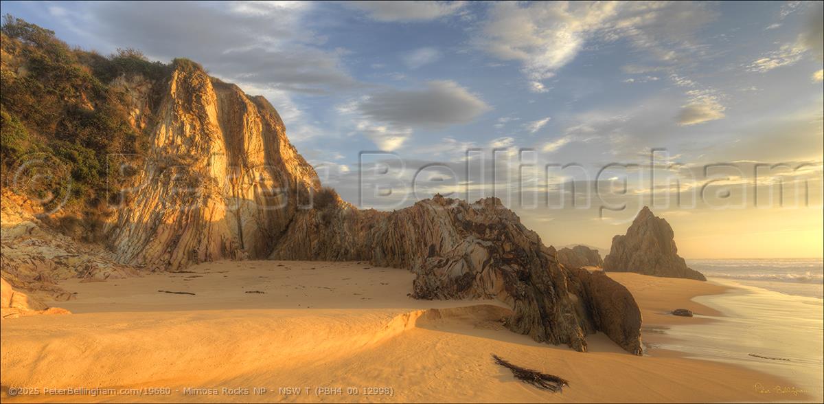 Peter Bellingham Photography Mimosa Rocks NP - NSW T (PBH4 00 12998)